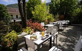 Barrique Garden - Breakfast & Restaurant - Old Town -Officially Classified Guesthouse